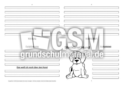 Hund-Faltbuch-vierseitig-1.pdf